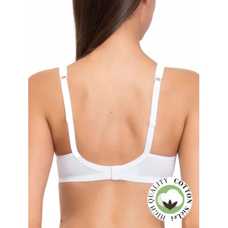 REGGISENO SIèLEI 1450